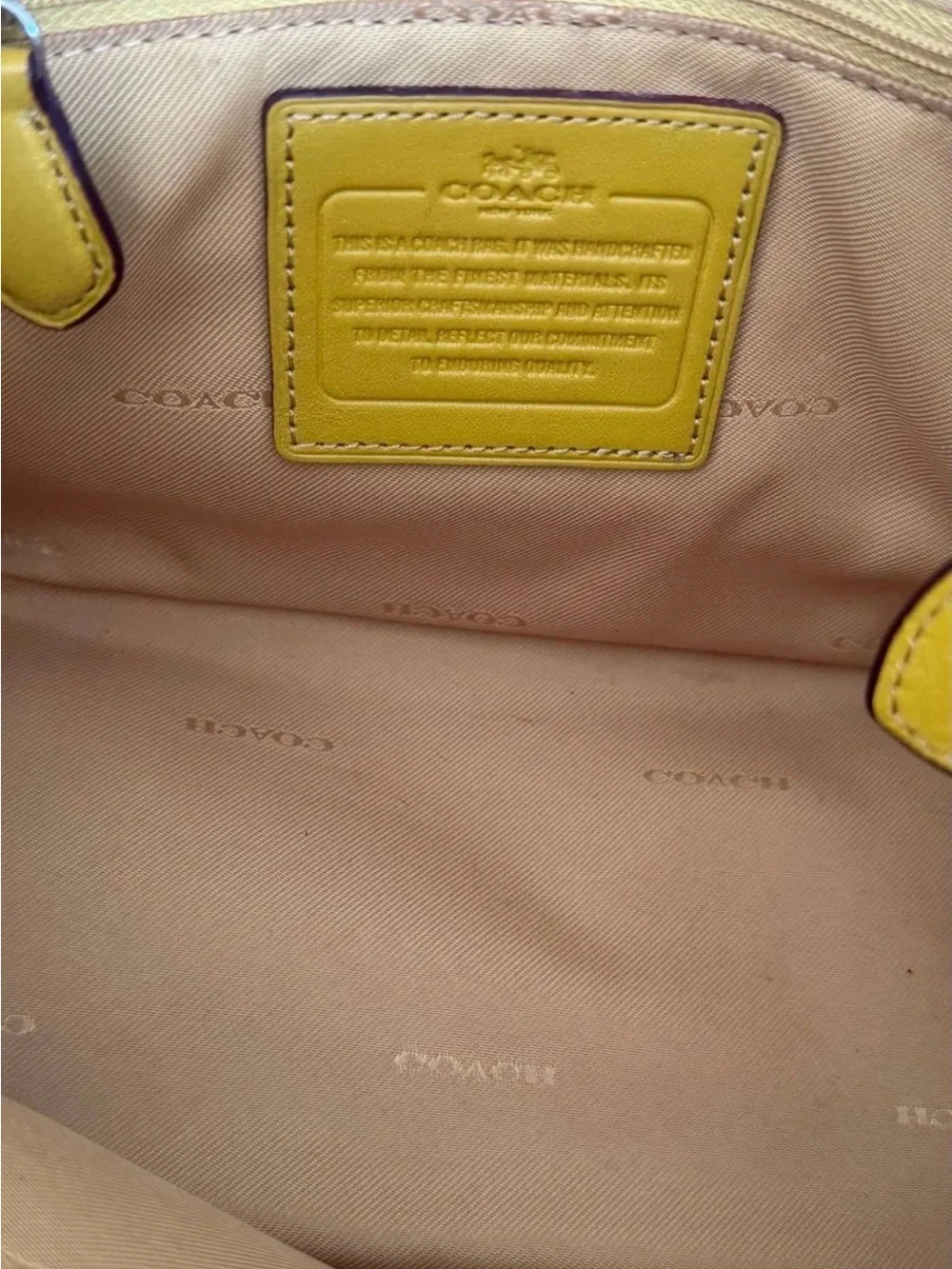 Coach - Mini Carryall in Yellow